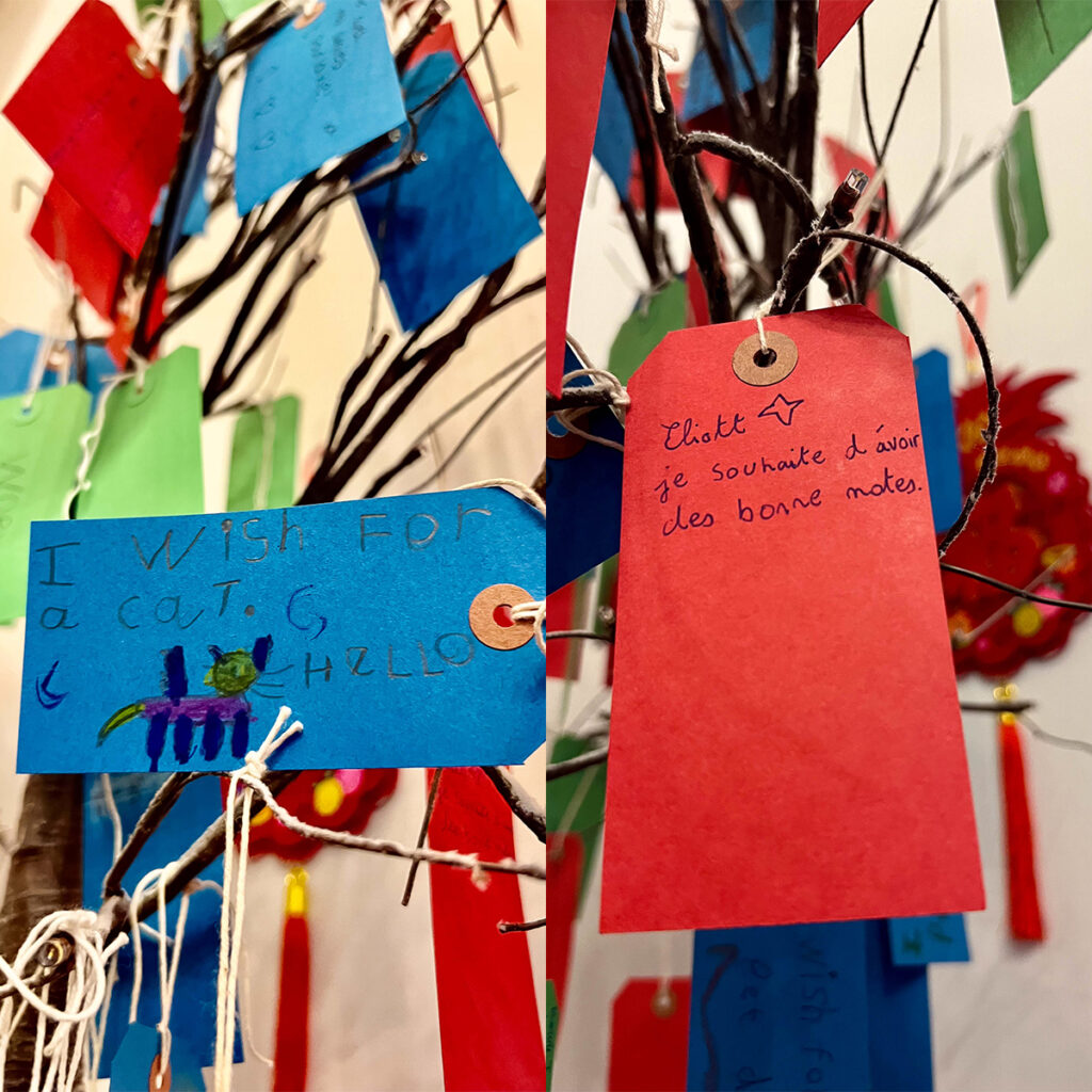 EIFA Close-up of two colorful paper tags on a wishing tree. The left tag is blue with a drawing of a cat and text: I wish for a cat. The right tag is red with text in French: Je souhaite davoir des bonnes notes. Strings and more tags are visible.